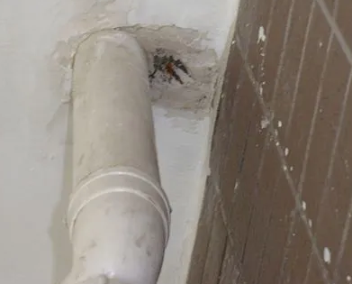 十堰漏水检测哪家好